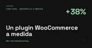 Un plugin WooCommerce a medida: el caso completo — NMS Neuro Marketing Strategy